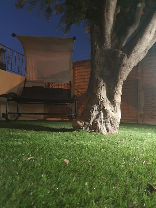Superbe Appartement Avec Jacuzzi Et Exterieur Perpignan Dış mekan fotoğraf